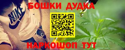 мдпв Партизанск