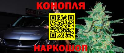 прущие грибы Первоуральск