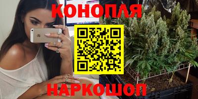 прущие грибы Первоуральск