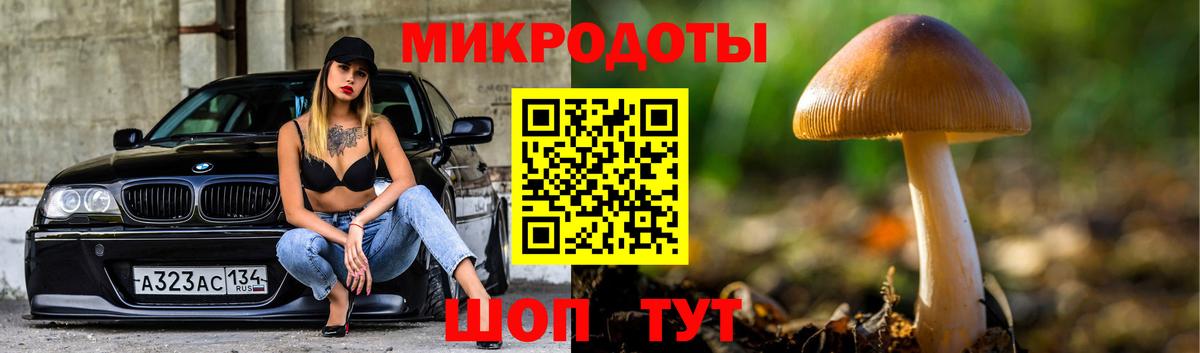 Галлюциногенные грибы ЛСД Советская Гавань